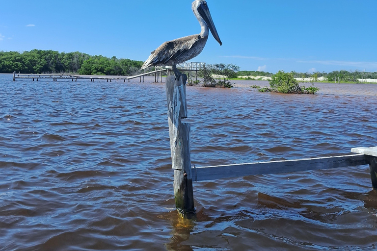 Río Lagartos: Safari con Flamencos y Excursión a Las Coloradas