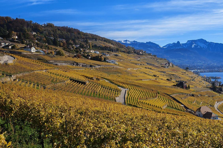 UNESCO Lavaux — Vineyards & Food Tasting — Private Van from Montreux