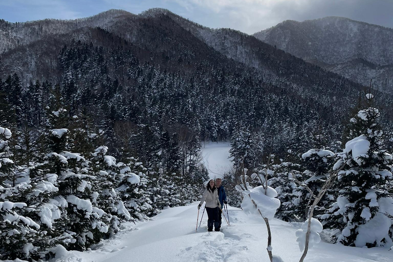 Shikotsu-Toya National Park: Guided Snowshoe Hike and Onsen Shikotsu-Toya National Park: Guided Snowshoe Hike and Onsen.