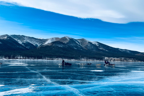 Khuvsgul Lake & Tsaatan Reindeer Herders Tour
