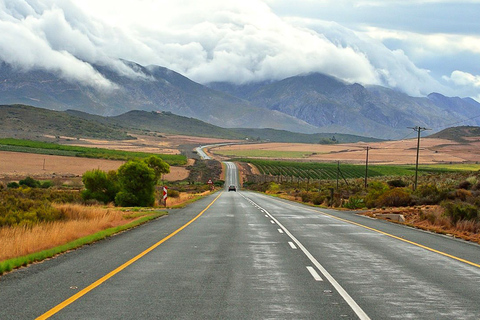 Ciudad del Cabo/Stellenbosch: 3 días Garden Route y safariPaquete en habitación compartida de mochilero