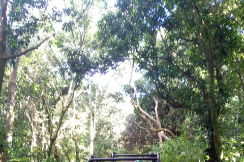 St. Kitts: Bike and Hike Throttle to Trail ATV Adventure