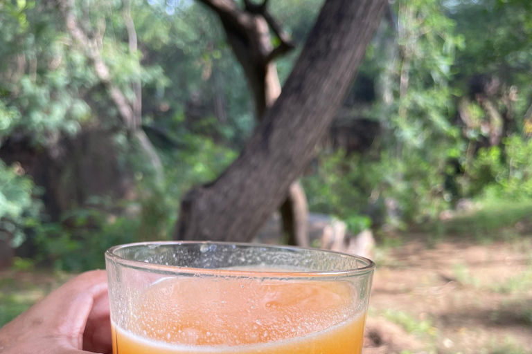 Delhi: Hidden-Gem Nature Oasis & Mudhouse Visit with Lunch