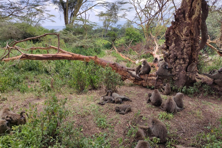 2Day Safari Tarangire and Ngorongoro Crater Join Group