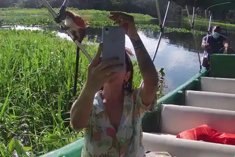 Panamá: Isla de los Monos Lago Gatún Paseo en barco