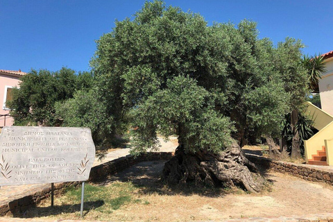 Chania Private Olive Oil Factory and Brewery Tour with Meal