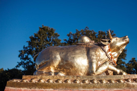 Kathmandu: Fahrt mit der Chandragiri-Seilbahn und TempelbesuchKathmandu: Fahrt mit der Seilbahn auf den Chandragiri-Hügel mit Tempelbesuch