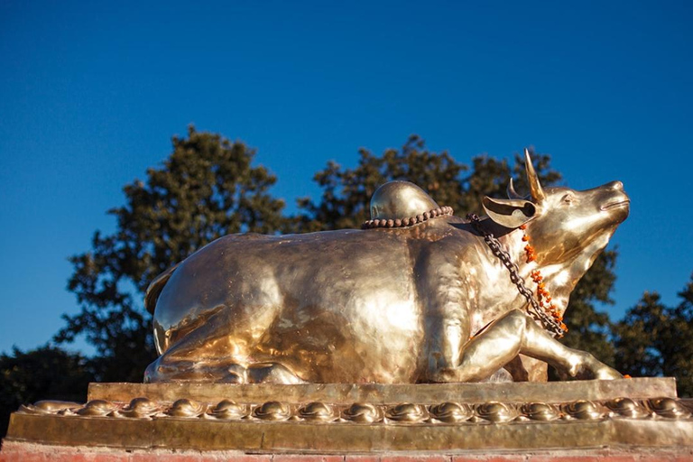 Kathmandu: Fahrt mit der Chandragiri-Seilbahn und TempelbesuchKathmandu: Fahrt mit der Seilbahn auf den Chandragiri-Hügel mit Tempelbesuch