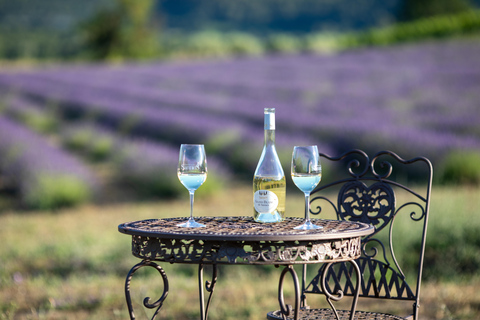 Luberon: Vineyard Tour and Wine Tasting