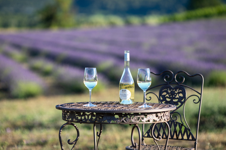 Luberon: Vineyard Tour and Wine Tasting