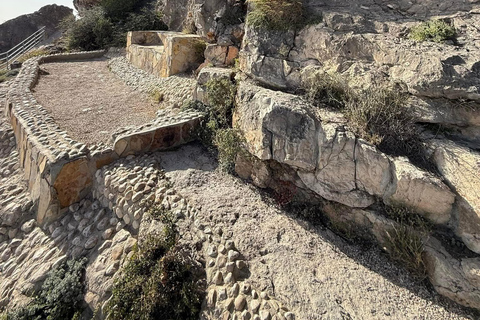 East Salalah by Day & Night: Camels, Waterfalls & Souqs Tour