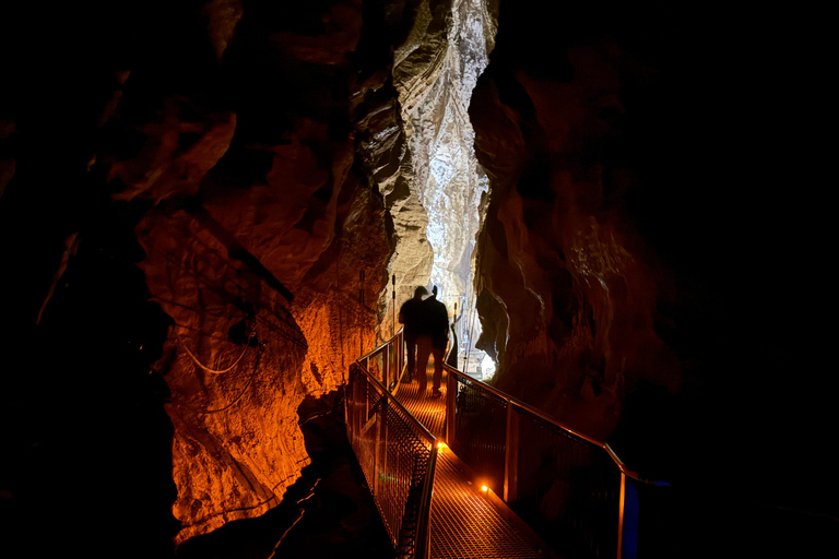 Private Day Tour: Waitomo Glowworms & Hobbiton Movie Set