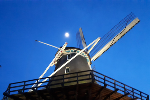 Amsterdam : visite guidée du moulin à vent Sloten