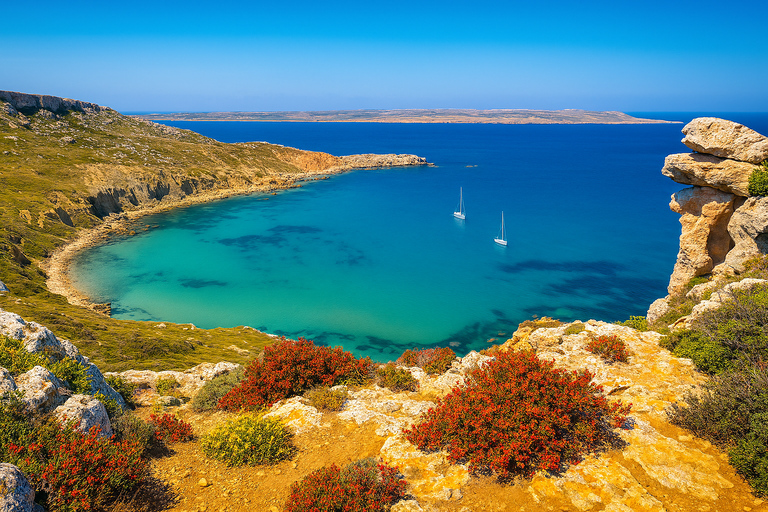 From Sliema: Around Malta Cruise with 3 Swim Stops and Lunch