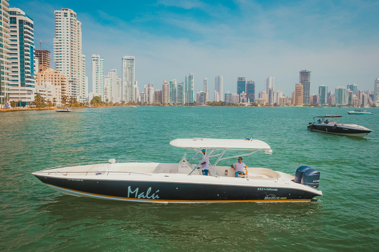 罗萨里奥群岛：卡塔赫纳私人快艇之旅29英尺私人游艇（最多可容纳10人）