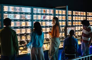 Amsterdam: ARTIS-Micropia Microbe Museum Entry Ticket