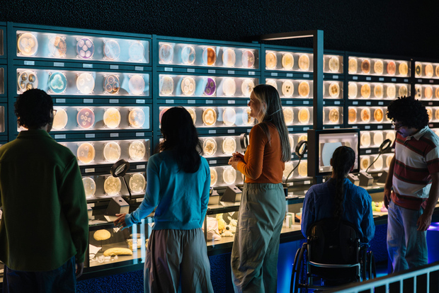 Amsterdam: Biglietto d'ingresso per il Museo del Microbo ARTIS-Micropia