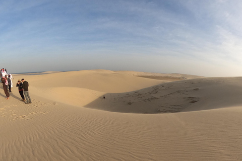 Qatar: Desert Safari with BBQ Dinner &amp; Quad Biking Options