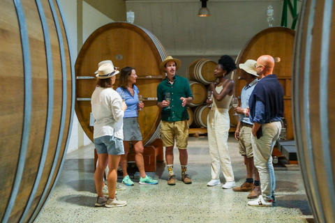 Constantia: Wine Walk with Lunch and Enchanting Stories