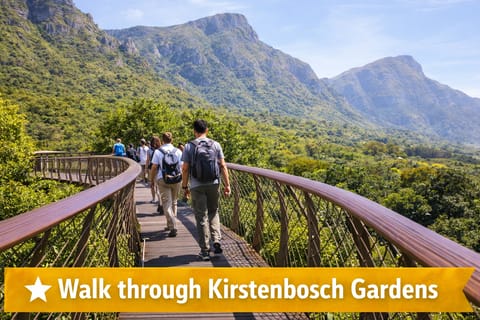 Cape Town: Private Constantia Wine Valley Half-Day Tour