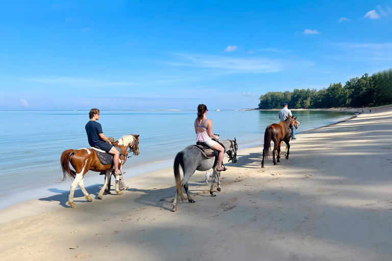 Paardrijden op het strand van PhuketPaardrijden 8:30 AM