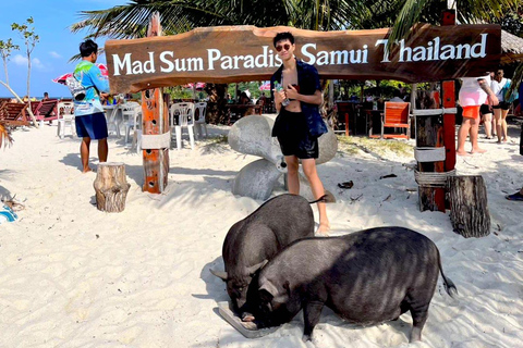 Koh Samui: Privé Longtail Boot naar Varkenseiland met SnorkelKoh Samui: Privé Longtail Tour naar Varkenseiland met Snorkel