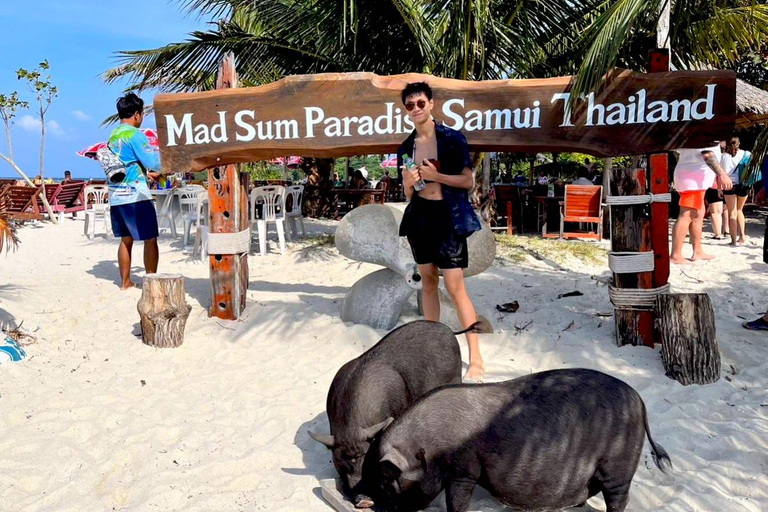 Koh Samui: Privé Longtail Boot naar Varkenseiland met SnorkelKoh Samui: Privé Longtail Tour naar Varkenseiland met Snorkel