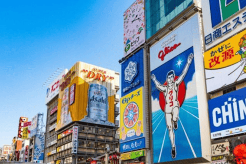 From Osaka: Private Customisable Osaka Full Day Tour By Car