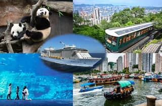 Ganztägiger Landausflug in HK mit Mittagessen, Peak und Panda-Besuch