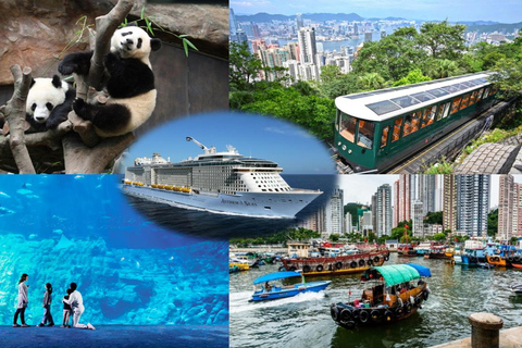 HK Full-Day Shore Excursion with Lunch, Peak and Panda Visit