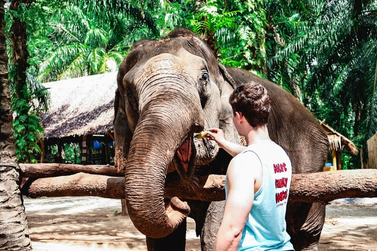 Krabi: Excursión de lo más destacado con el Refugio de Elefantes de Krabi