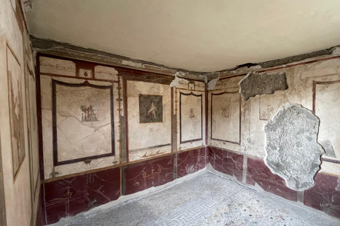 Amalfi Coast: Pompeii Ruins Guided Tour