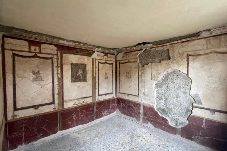 Amalfi Coast: Pompeii Ruins Guided Tour