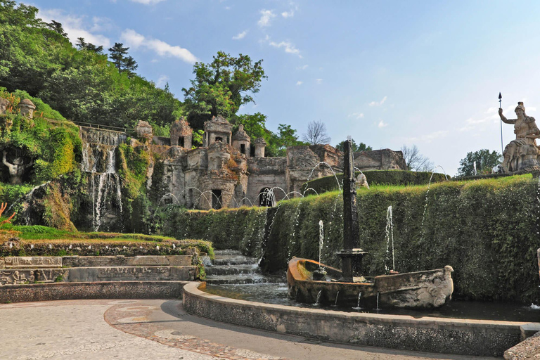 Vanuit Napels: Pompeii en Sorrento Bus Tour met Gids