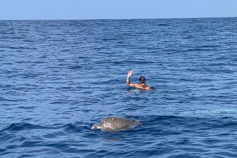 Puerto Escondido: Bootstour zu Delfinen und MeerestierenPrivate Tour