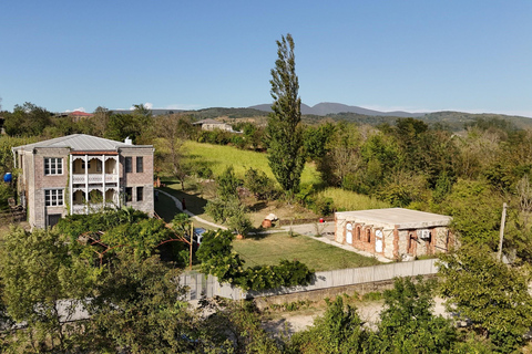 Kutaisi : dégustation de vins dans une cave familialeKoutaïssi : Dégustation de vins dans une cave familiale
