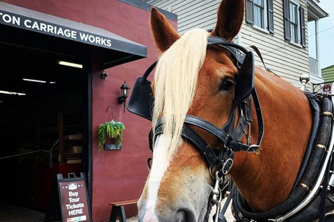 Charleston: Visita histórica residencial a caballo y en carruaje