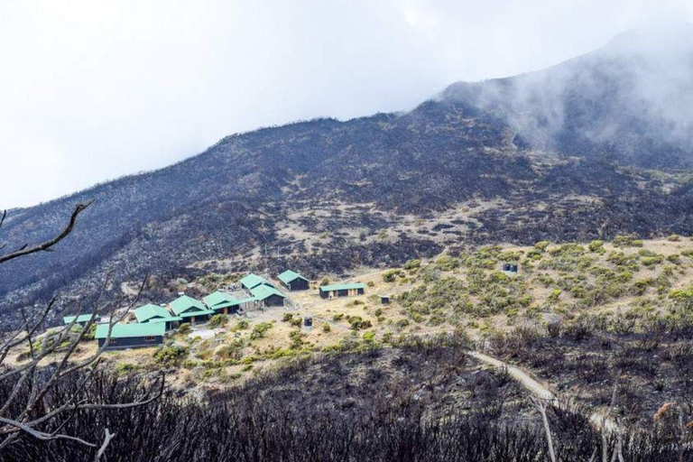 3天2夜徒步之旅 - 梅鲁山登山3天2晚徒步之旅——梅鲁山徒步