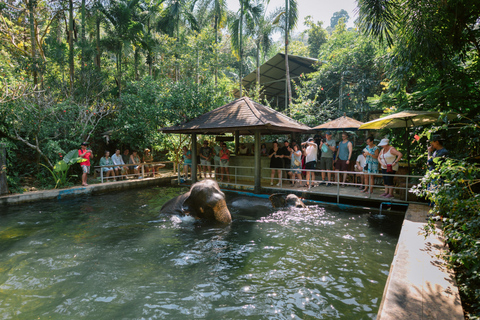 Khao Lak: Halve dag olifantensafari met maaltijd en vervoer van het hotel