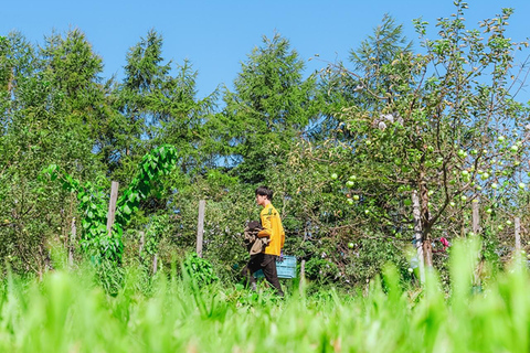 Hokkaido: Libera Wine Terrace Tasting Experience