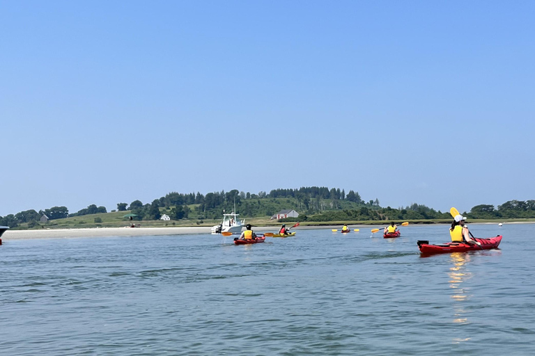 From Boston: Guided Kayak Adventure at the Crane Estate