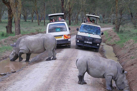 Von Nairobi aus: Ganztagestour zum Lake Nakuru National Park