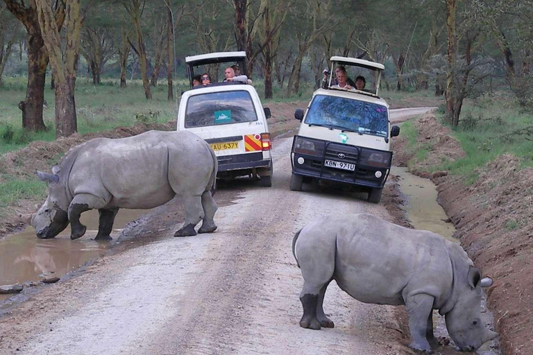 De Nairóbi: Excursão de 1 dia ao Parque Nacional do Lago Nakuru