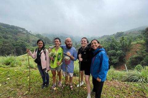 Chiang Rai: Trekking, Bamboo Cooking, and Hot Springs Tour