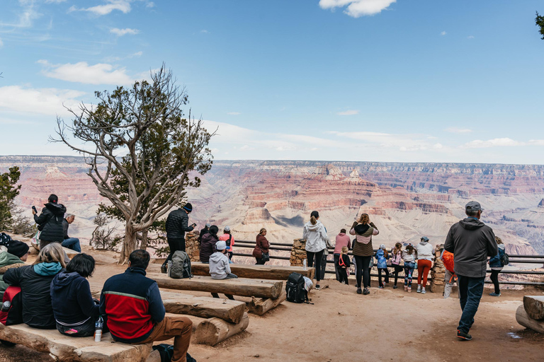 Las Vegas: Grand Canyon National Park with Lunch &amp; Free WiFi