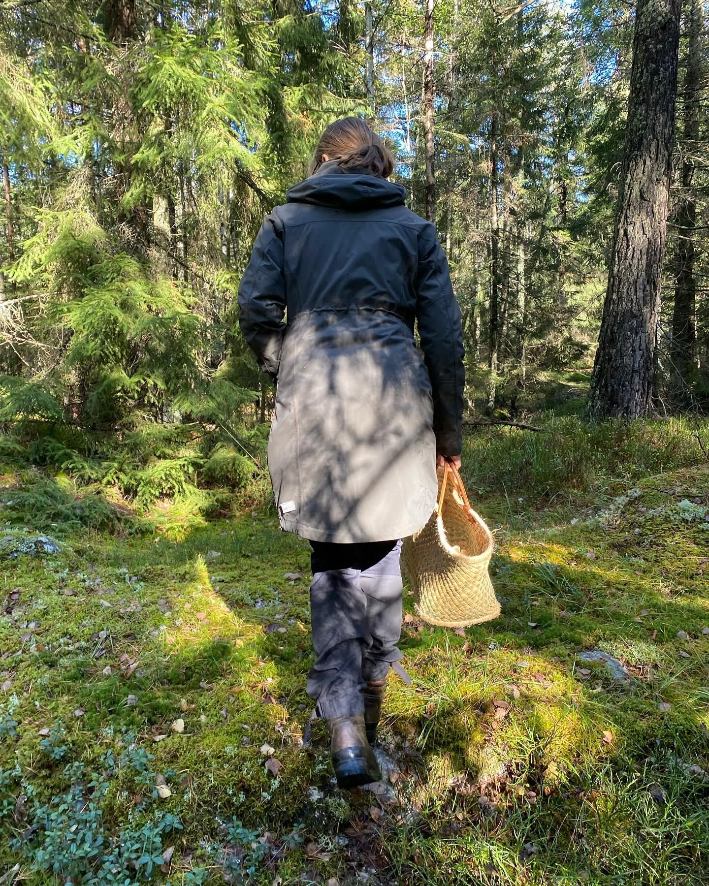 Stockholm, Pilz- und Wildpflanzen-Sammel-Tour mit Experte