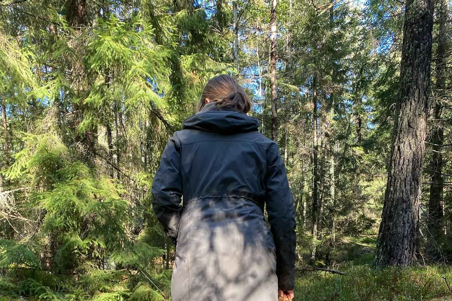 斯德哥尔摩蘑菇与野生植物采摘之旅：专家带您探索自然之美