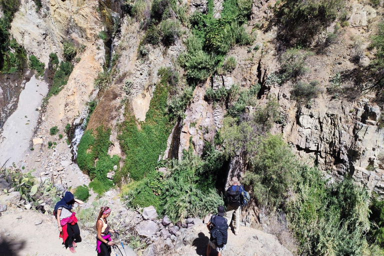 Arequipa: 3-Day Colca Canyon Trekking Tour