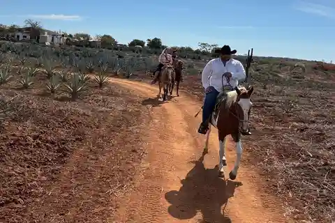 Combo de Cabalgata y Temazcal con comida y mezcal