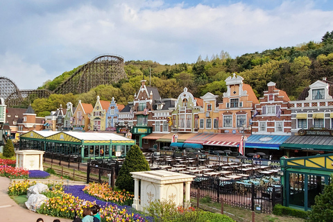 Billet d&#039;entrée au parc d&#039;attractions Everland